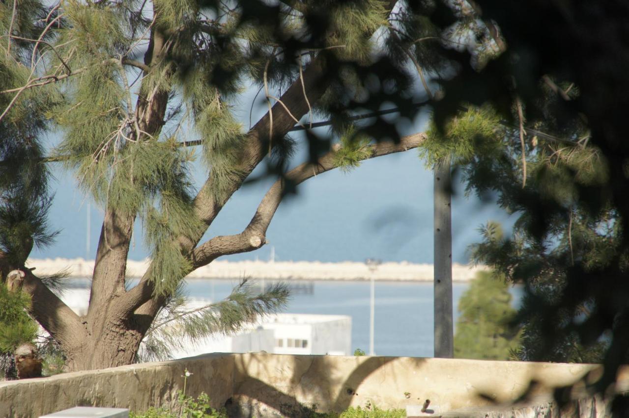 חיפה City Hall Hostel מראה חיצוני תמונה